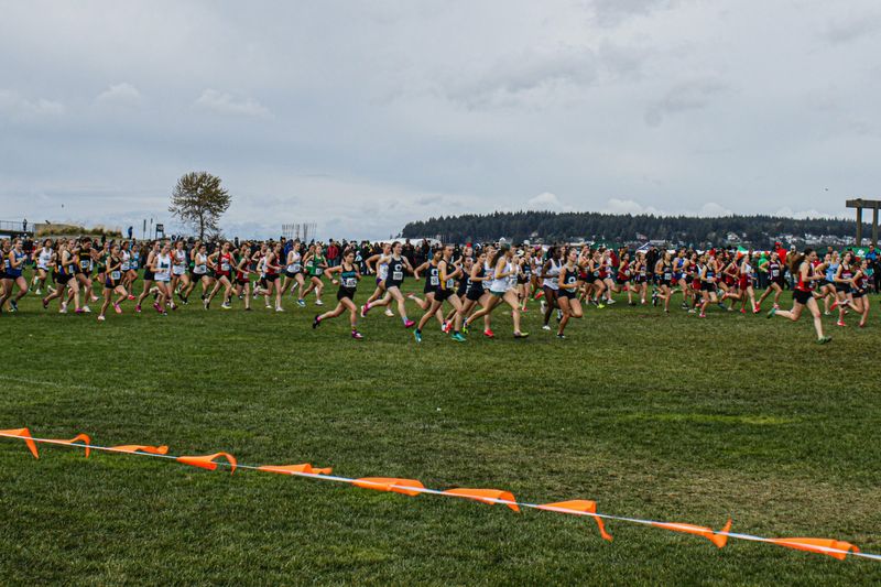 No athletic scholarship money from a D1 coach? A parent's six questions answered